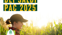 DEFINIZIONE DEI SALDI PAC 2025