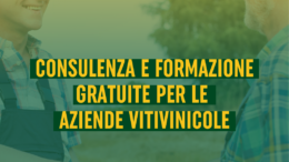 Opportunità di consulenza e formazione gratuite per le aziende vitivinicole