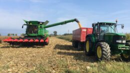 Fondo sovranità alimentare seminativi, domande entro il 14 aprile