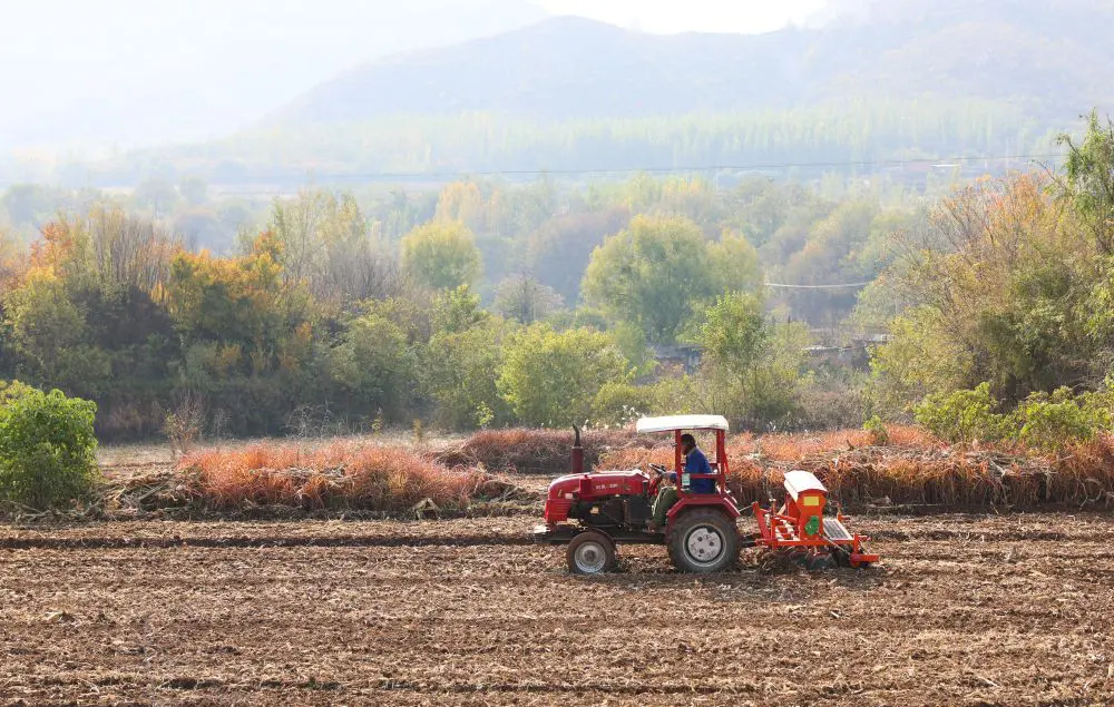 Cina, produzione di cereali in crescita anche nel 2026 secondo le previsioni Cina, produzione di cereali in crescita anche nel 2026 secondo le previsioni
