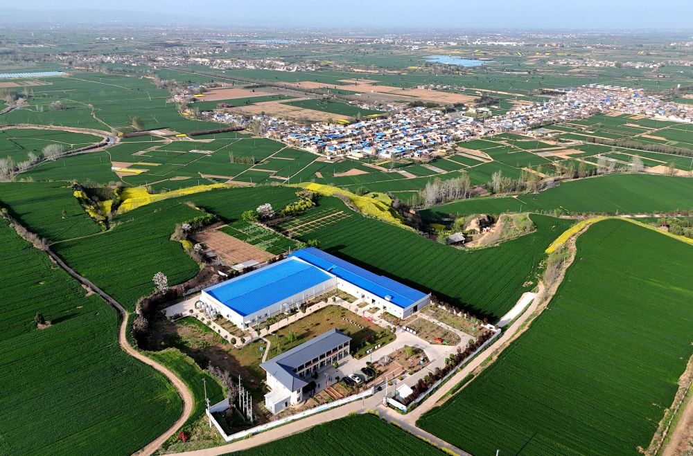 Cina, le industrie legate alle zone rurali in crescita nel primo trimestre Cina, le industrie legate alle zone rurali in crescita nel primo trimestre