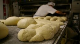 NASCE L’”ALLEANZA PER IL PANE”