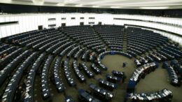 Dall’Europarlamento prime norme dell’Unione europea per proteggere cani e gatti da maltrattamenti