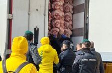 COLDIRETTI TORNA AL BRENNERO: MOBILITAZIONE A DIFESA DI AGRICOLTORI E CONSUMATORI PER MODIFICA DEL CODICE DOGANALE, GUERRA E RINCARI