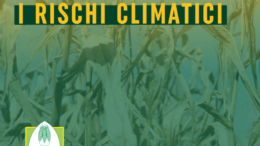 Nuove procedure AGRICAT contro i rischi climatici