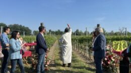 COLDIRETTI ROVIGO: INAUGURATO IL PRIMO ENOTURISMO  CHE VALORIZZA VITIGNI AUTOCTONI POLESANI  GRAZIE ALL’AZIENDA SOCIA DELLA FAMIGLIA SUCCI