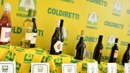Vinitaly 2026, liberiamo il vino dalle catene della burocrazia