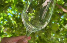 COLDIRETTI ROVIGO: DOMENICA SI INAUGURA IL PRIMO ENOTURISMO CHE VALORIZZA VITIGNI AUTOCTONI POLESANI. Appuntamento con “Primo calice” c/o azienda agricola Succi, 26/04/26 h. 16