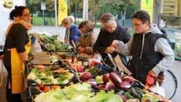 Padova Agri-Street 2026: coinvolti i mercati contadini dei quartieri Forcellini, Mandria e Pontevigodarzere