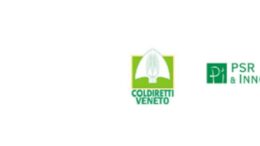 Vitivinicolo, hub dell’innovazione RESILIO: il 7 e 22 maggio maggio i primi due eventi