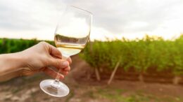 VINITALY: COLDIRETTI, LIBERIAMO IL VINO DALLE CATENE