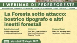 I WEBINAR DI FEDERFORESTE  |  Mercoledì 20 maggio 2026 – ore 17.00