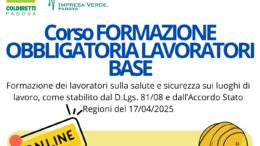 Formazione obbligatoria per i lavoratori base: aperte le iscrizioni al corso di Impresa Verde Padova