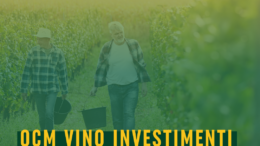 OCM Vino 2027 – Bando Investimenti per aziende vitivinicole