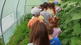 CENTRI ESTIVI IN CAMPAGNA, DOMENICA OPEN DAY PER LE FAMIGLIE