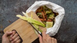 IN UN ANNO, IN EUROPA, 58,2 MILIONI DI TONNELLATE DI RIFIUTI ALIMENTARI