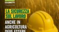 OPPORTUNITÀ DI CONSULENZA E FORMAZIONE GRATUITE