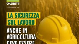 OPPORTUNITÀ DI CONSULENZA E FORMAZIONE GRATUITE
