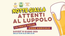 A TREVISO LA NOTTE GIALLA & ATTENTI AL LUPPOLO