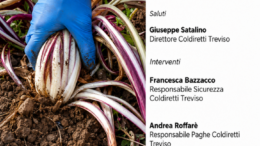 Incontro: Il lavoro che cambia: assunzioni, appalti, attività ispettiva straordinaria e sicurezza nei luoghi di lavoro