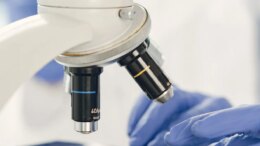 ENEA brevetta un materiale high-tech per la transizione energetica e l’utilizzo di fonti rinnovabili