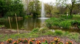 Crisi climatica, gli orti botanici come piattaforme educative per la consapevolezza ambientale degli studenti