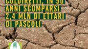 GIORNATA DESERTIFICAZIONE: COLDIRETTI, IN 50 ANNI SCOMPARSI 2,4 MLN DI ETTARI DI PASCOLI