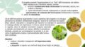 Il progetto RESILIO prosegue