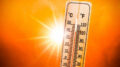 CALDO: COLDIRETTI, CONTRO AFA E ISOLE CALORE SERVE AUMENTARE IL VERDE URBANO NELLE CITTÀ