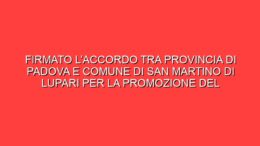 Firmato l’accordo tra Provincia di Padova e Comune di San Martino di Lupari per la promozione del Museo civico d’arte contemporanea “Umbro Apollonio” (MACUA) 