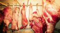 Agricoltura Ue: via libera a misure per il reddito degli agricoltori e la tutela della carne