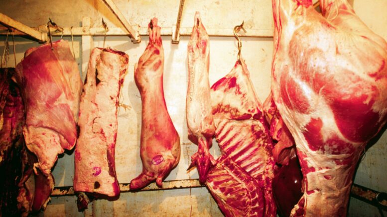 Agricoltura Ue: via libera a misure per il reddito degli agricoltori e la tutela della carne