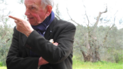 Olio, Borzatta (I&P): “Nella Tuscia l’evo si riscopre tra innovazione, contaminazioni e comunità”