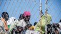 Entra in vigore il nuovo Patto Ue su migranti e asilo, da oggi regole uniche per i 27