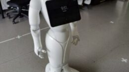 Pepper un umanoide per amico, il test col robot sociale svela com’è il compagno di giochi ideale