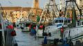 PESCA: COLDIRETTI, BENE CREDITO D’IMPOSTA SUL CARBURANTE, ORA RISPETTARE I TEMPI ANNUNCIATI