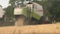 COLDIRETTI VENEZIA: BUONA LA TREBBIATURA DEL GRANO, MAIS E SOIA RISCHIANO PER ECCESSIVO CALDO