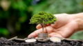 Pubblicazione bando “Greentour” Turismo sostenibile Invitalia