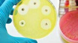 Ai e medicina di precisione per combattere super batteri resistenti, lo studio italiano su quasi 10.000 pazienti