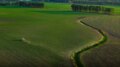 Portavoce Cina, pronti a facilitare commercio agricolo bilaterale con Usa
