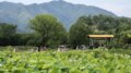 Cina, buoni di consumo per 450 mln di yuan a favore del turismo estivo