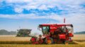 Cina, per la prima volta il raccolto di cereali estivi supera 150 mln tonnellate