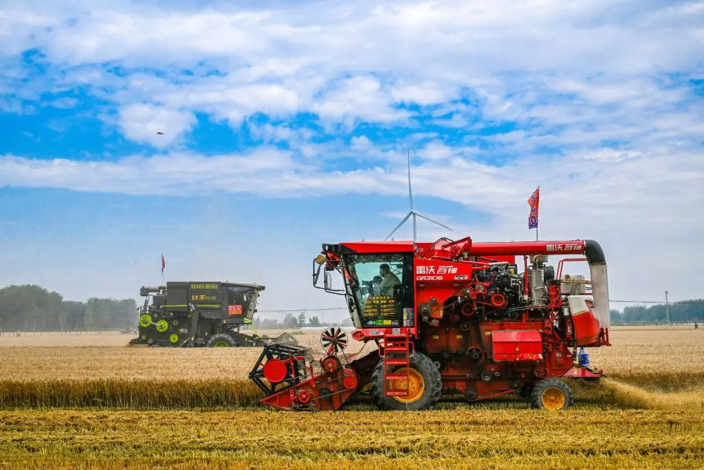 Cina, per la prima volta il raccolto di cereali estivi supera 150 mln tonnellate Cina, per la prima volta il raccolto di cereali estivi supera 150 mln tonnellate
