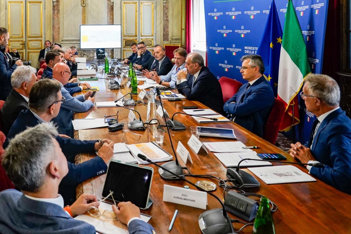 Agroalimentare, Lollobrigida “Controlli e risorse a tutela del grano italiano” Agroalimentare, Lollobrigida “Controlli e risorse a tutela del grano italiano”
