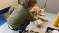 Purina e Frida’s Friends, pet therapy in Neurologia Pediatrica al Fatebenefratelli