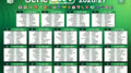Sorteggio Calendario Serie B 2026/2027: 1° giornata Pisa-Padova, Padova-Hellas 29/8, Padova-Vicenza 5/12