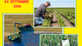Corso Iap Imprenditore agricolo professionale, iscrizioni entro il 14 agosto