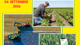 Corso Iap Imprenditore agricolo professionale, iscrizioni entro il 14 agosto