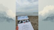 Un libro in valigia