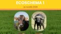 ESOSCHEMA 1: le novità del 2026